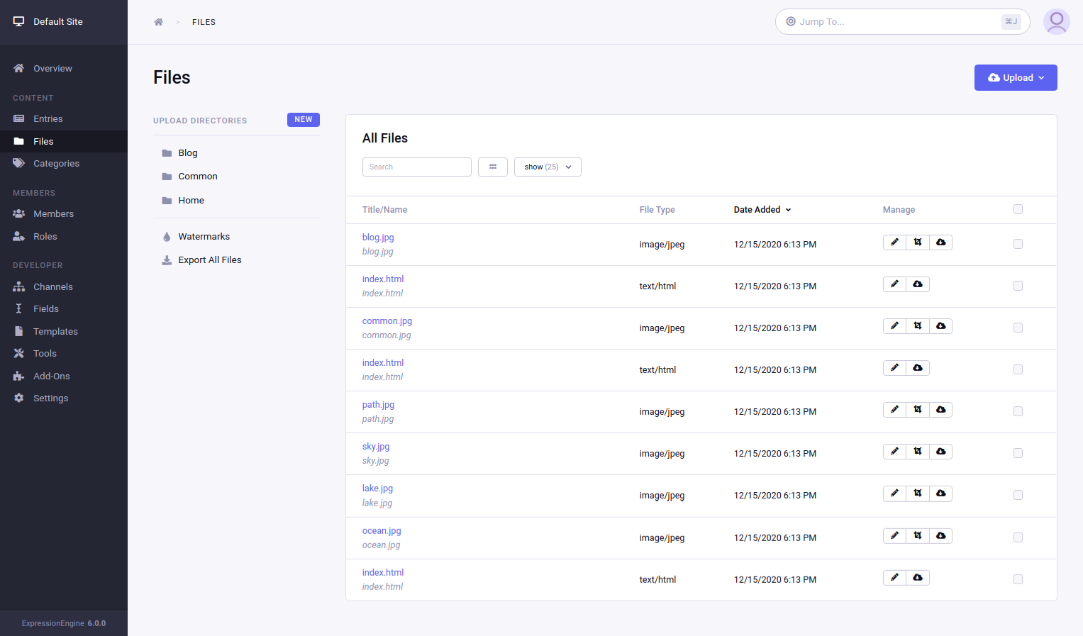 Control Panel File Manger Page