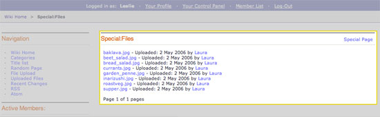 Displays all the wiki's upload files.