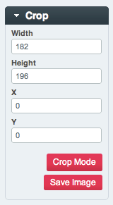 Image Editor Crop Options