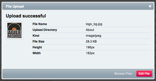 File Manager File Upload Success