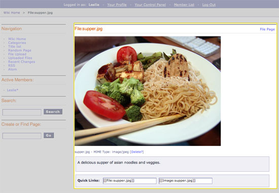 Displays the information on a single uploaded file.